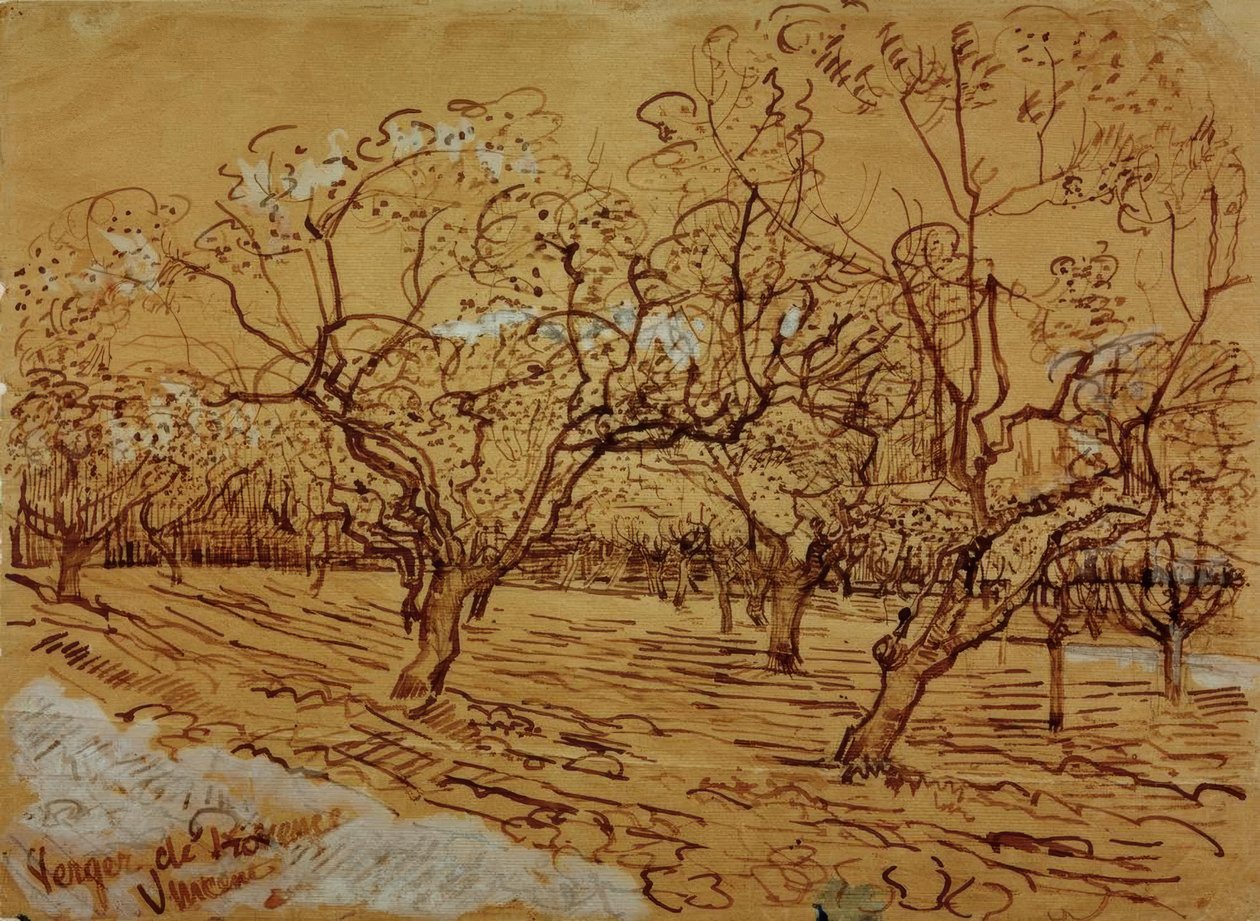 بستان بروفنسال بواسطة فنسنت فان جوخ