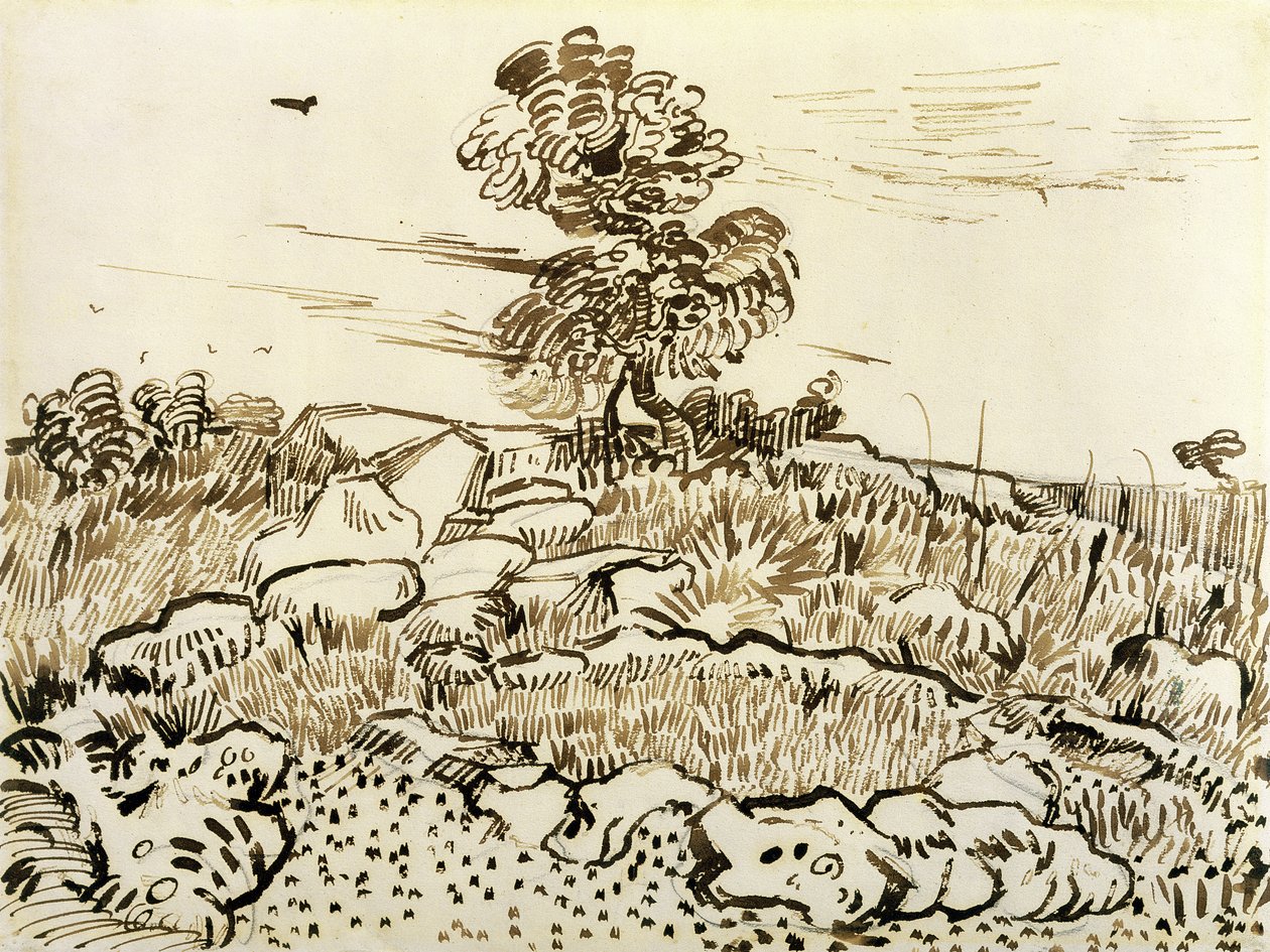 Rocky Ground at Montmajour ، 1888-1889 (قلم ، قلم ريشة ، حبر على ورق) بواسطة فنسنت فان جوخ