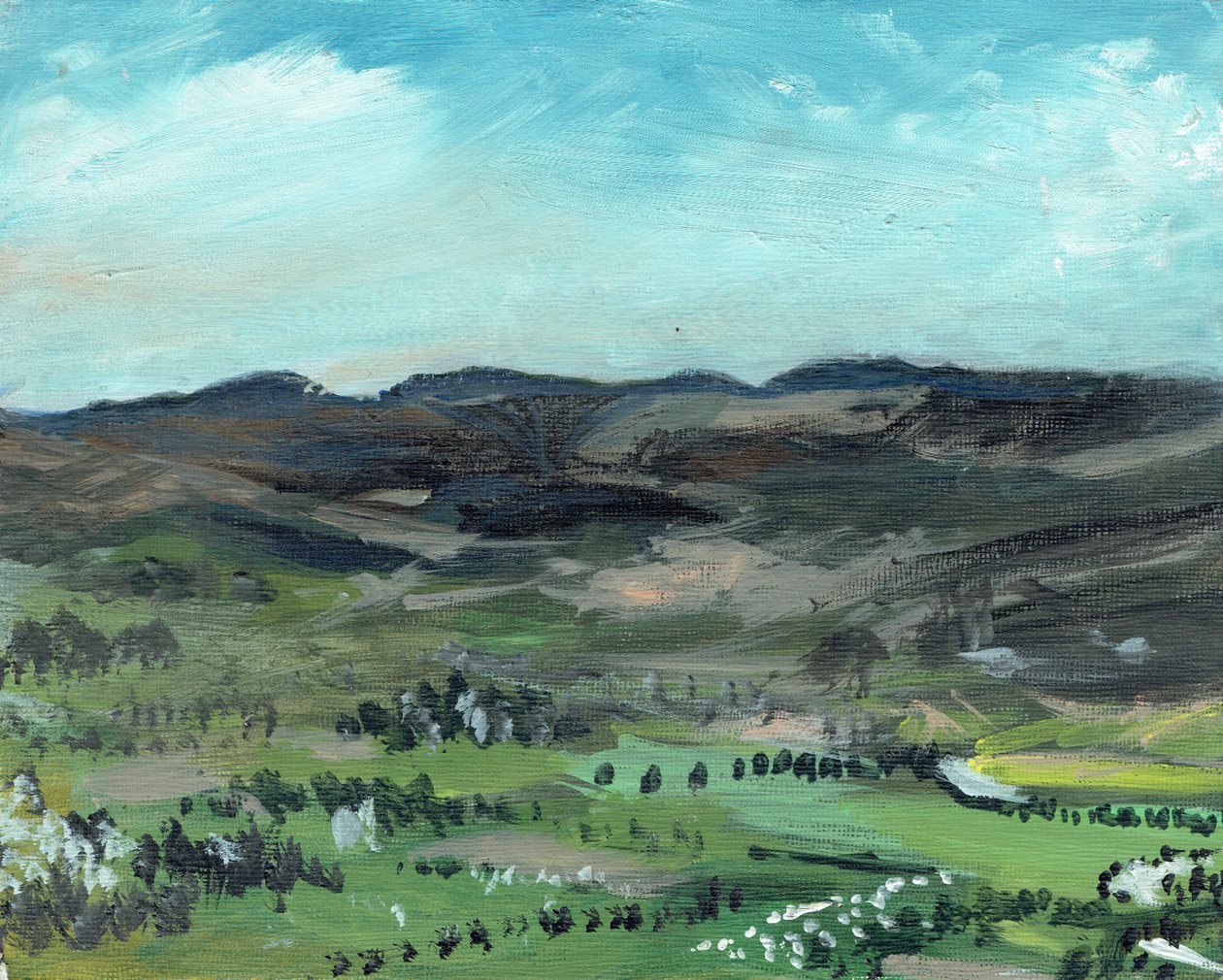 Cairngorms من Creag Dhubh ، 2006 ، (أكريليك على لوح قماش) بواسطة فنسنت الكسندر بوث