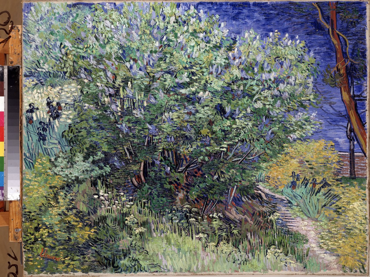 "The Lilac Bush" "(Lilac Bush) لوحة للفنسنت فان جوخ (1853-1890) 1889 Dim. 72x92 cm متحف هيرميتاج ، سانت بطرسبرغ (سانت بطرسبرغ) بواسطة فنسنت فان جوخ