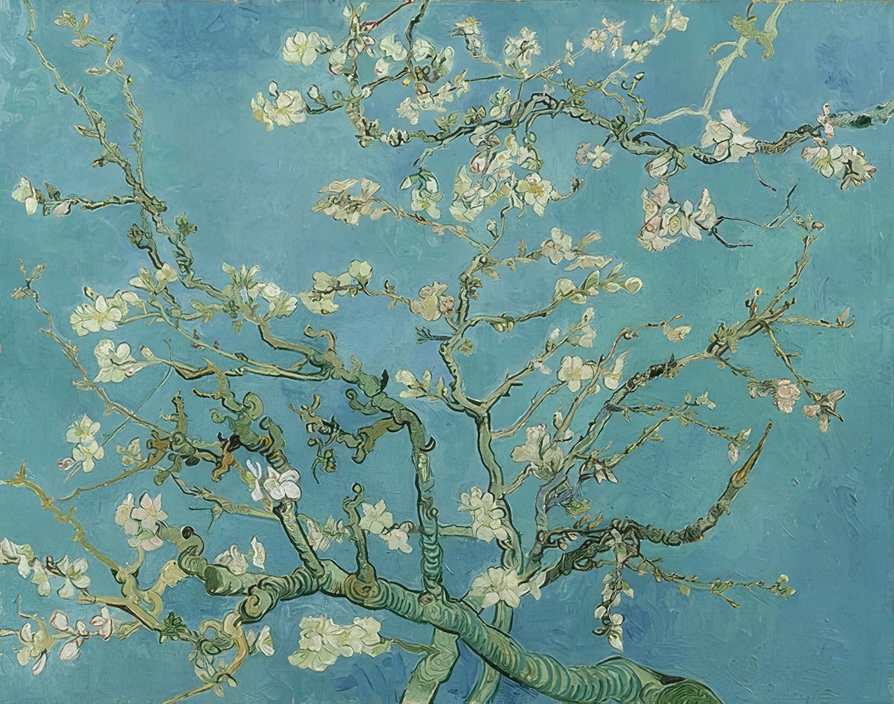 ماندلبلوت. 1890 بواسطة فنسنت فان جوخ