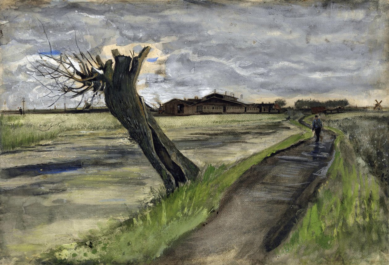 بولارد ويلو (saule tetard) par Gogh ، Vincent ، van (1853-1890). قلم رصاص ، ألوان مائية ، جواش ، حبر على ورق ، مقاس 38x55،8 بواسطة فنسنت فان جوخ