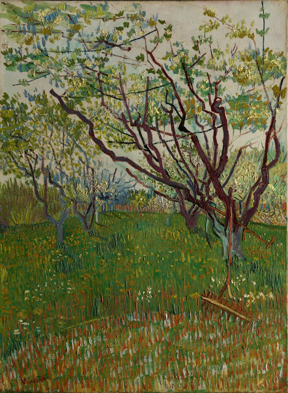 The Flowering Orchard ، 1888. بواسطة فنسنت فان جوخ