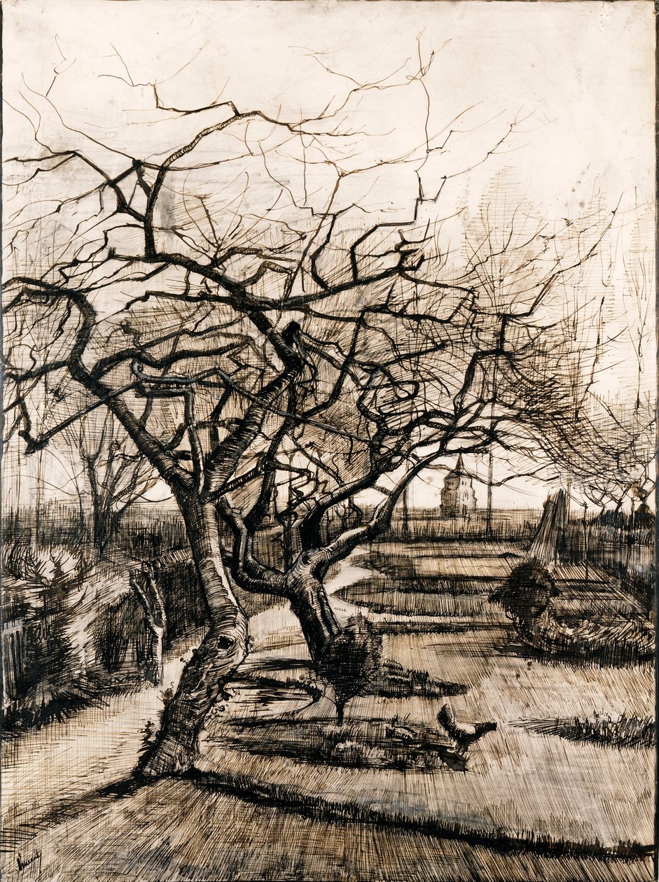 حديقة Parsonage في Nuenen في الشتاء - Oeuvre de Vincent ، van Gogh (1853-1890) - 1884 - قلم وفرشاة وحبر على ورق - 51،5x38 - Szepmuveszeti Muzeum ، بودابست بواسطة فنسنت فان جوخ