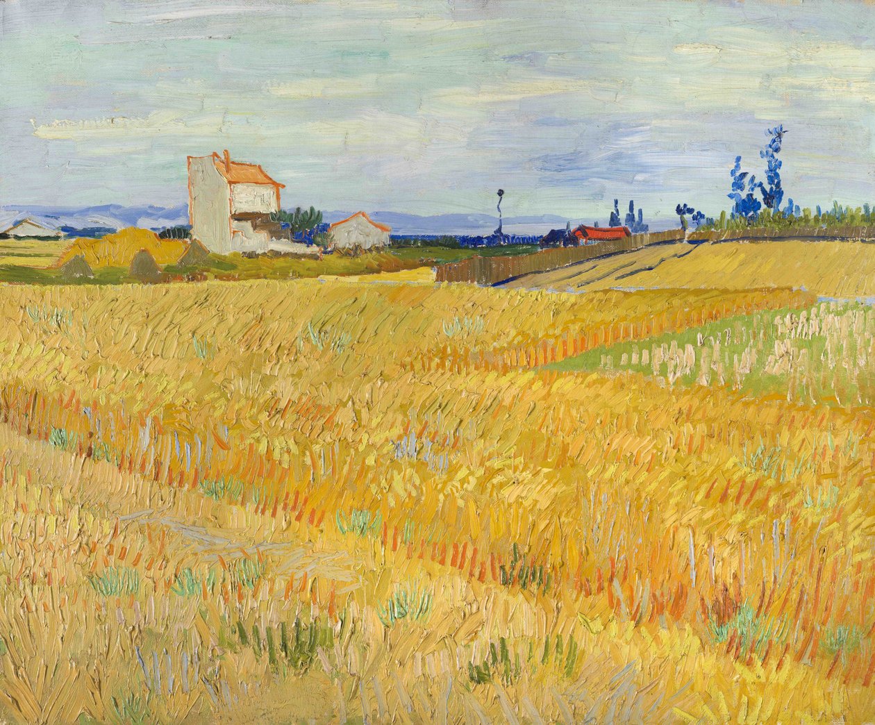 Wheat field (Champs de blé) بواسطة فنسنت فان جوخ