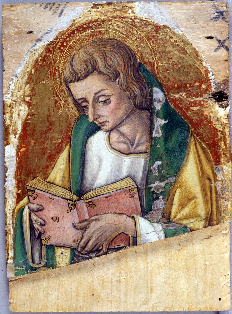 يوحنا الإنجيلي ، c.1500 (درجة حرارة على خشب الحور) بواسطة فيتوري كريفيلي