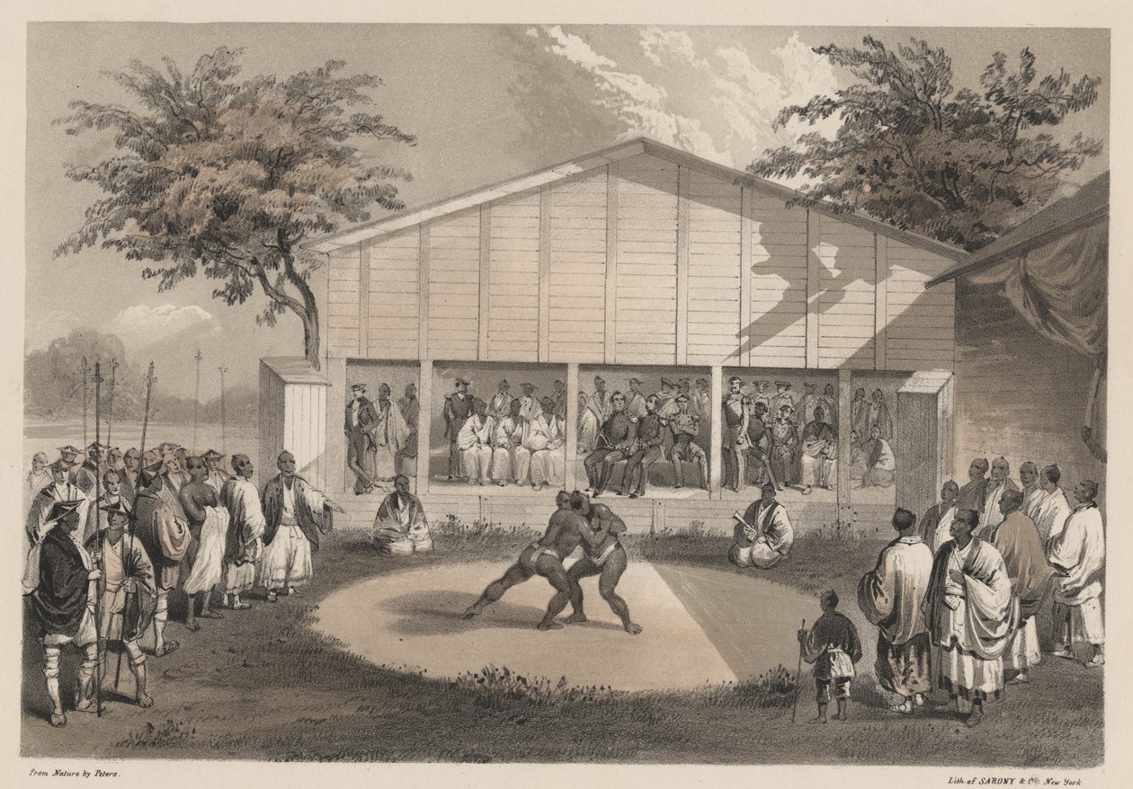 المصارعون في العلاقات ، أعضاء بواسطة Sarony und Co. ، 1855 (chromolitho) بواسطة WT بيترز