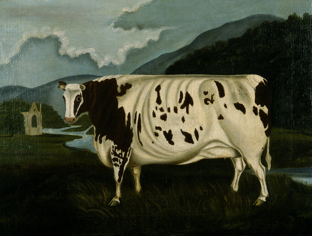 The Famous Craven Heifer (oil on canvas) بواسطة مقلاة WD