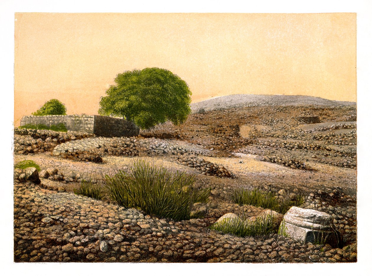 شيلو ، c1870. بواسطة دبليو ديكنز