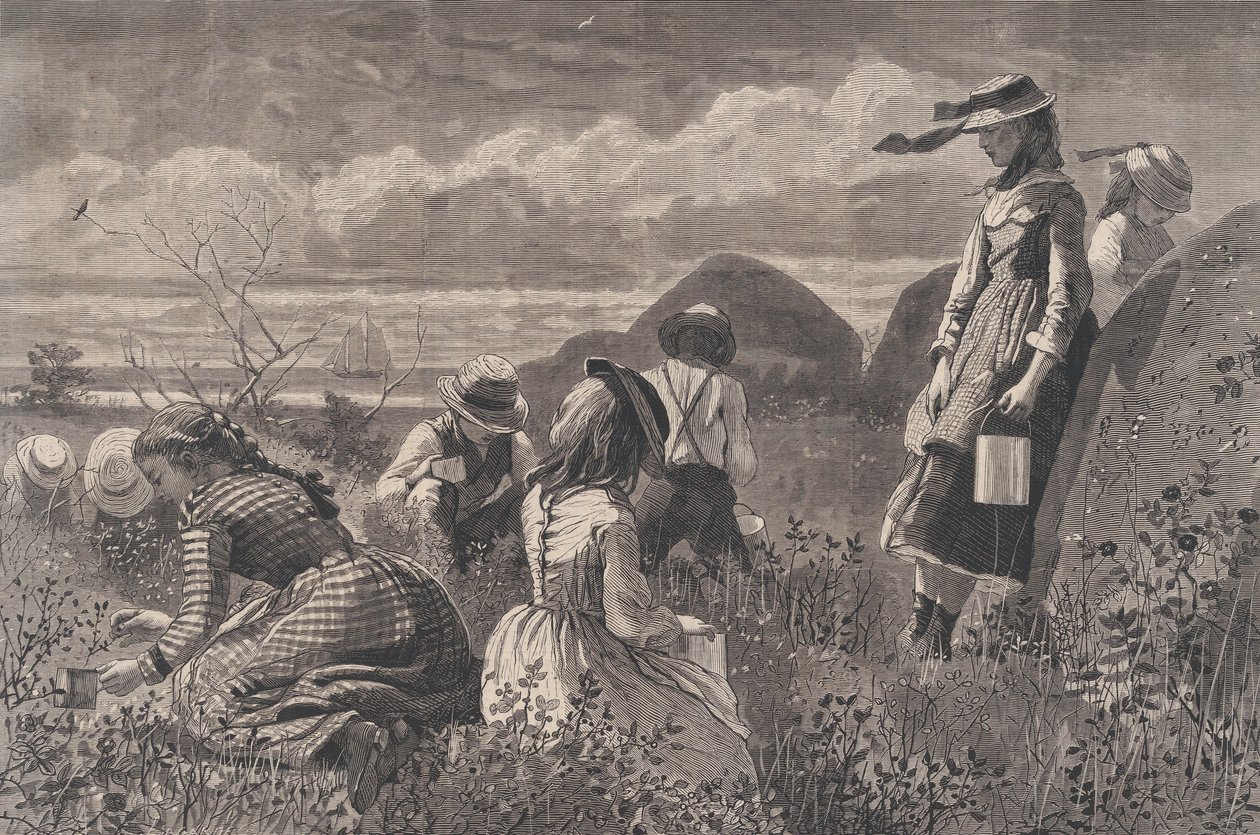 جمع التوت هاربر ويكلي ، المجلد. الثامن عشر ، 11 يوليو 1874. بواسطة WH Lagarde