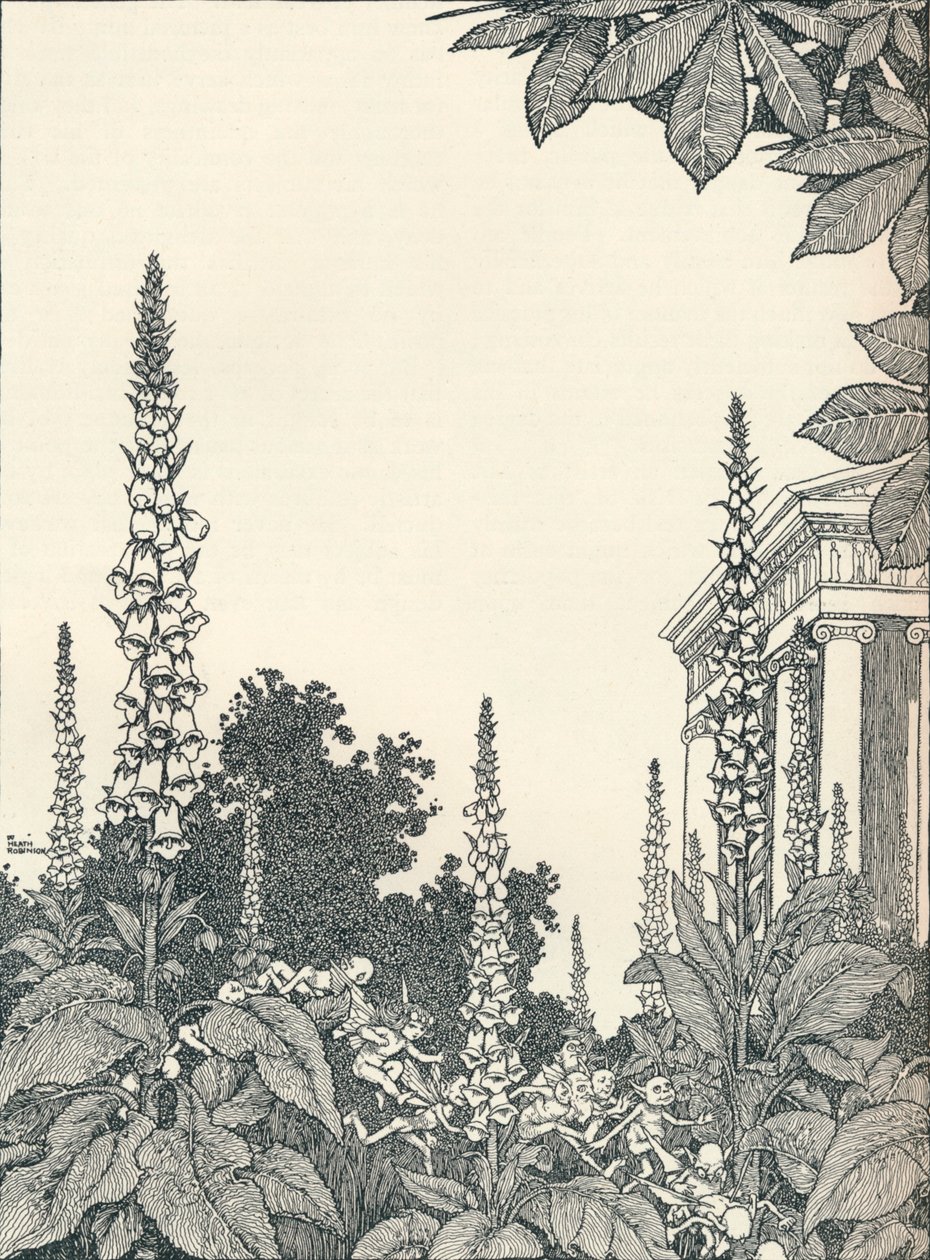 رسم توضيحي لحلم ليالي منتصف الصيف ، 1914 ، 1925. بواسطة وليام هيث روبنسون