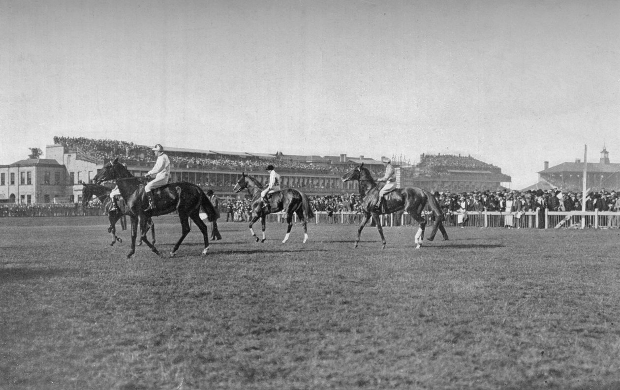 خيول سانت ليجر أمام موقف دونكاستر ، c1901 ، 1903 بواسطة WW Rouch