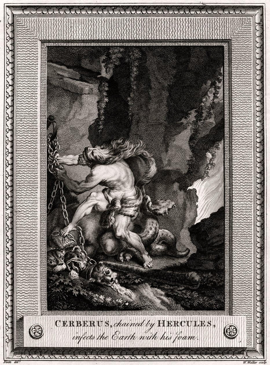 سيربيروس ، بالسلاسل بواسطة هرقل ، يصيب الأرض برغويته ، 1774 بواسطة دبليو ووكر