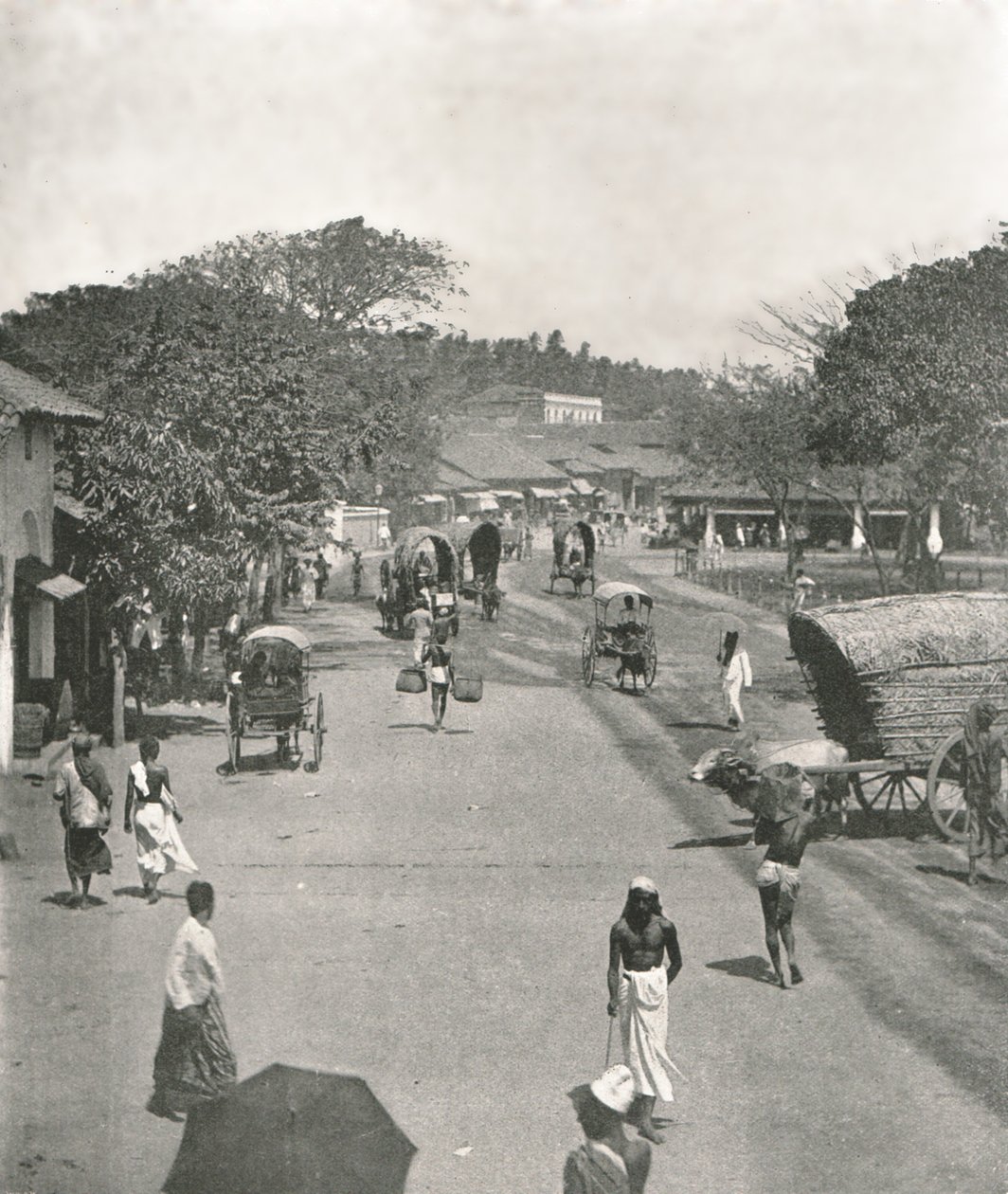 مشهد الشارع بالقرب من دار البلدية ، كولومبو ، سيلان ، 1895. بواسطة W and S Ltd