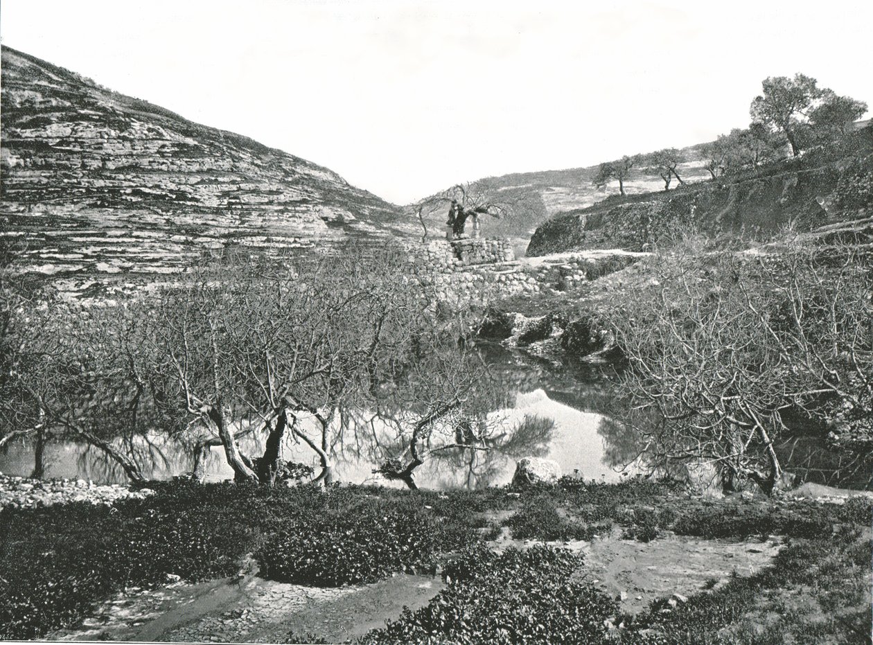 بركة سلوام ، القدس ، فلسطين ، 1895. بواسطة W and S Ltd