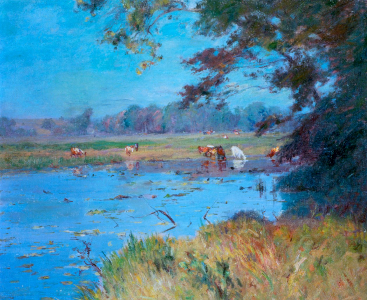 "بركة الري" 1868-1917 بواسطة والتر كلارك