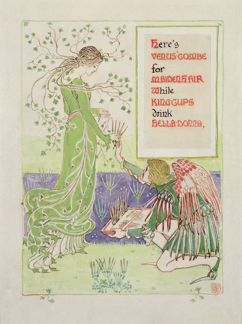 إليكم Combe Venus for Maidenhair ، 1899 (قلم رصاص ومرحاض على الورق) بواسطة والتر كرين