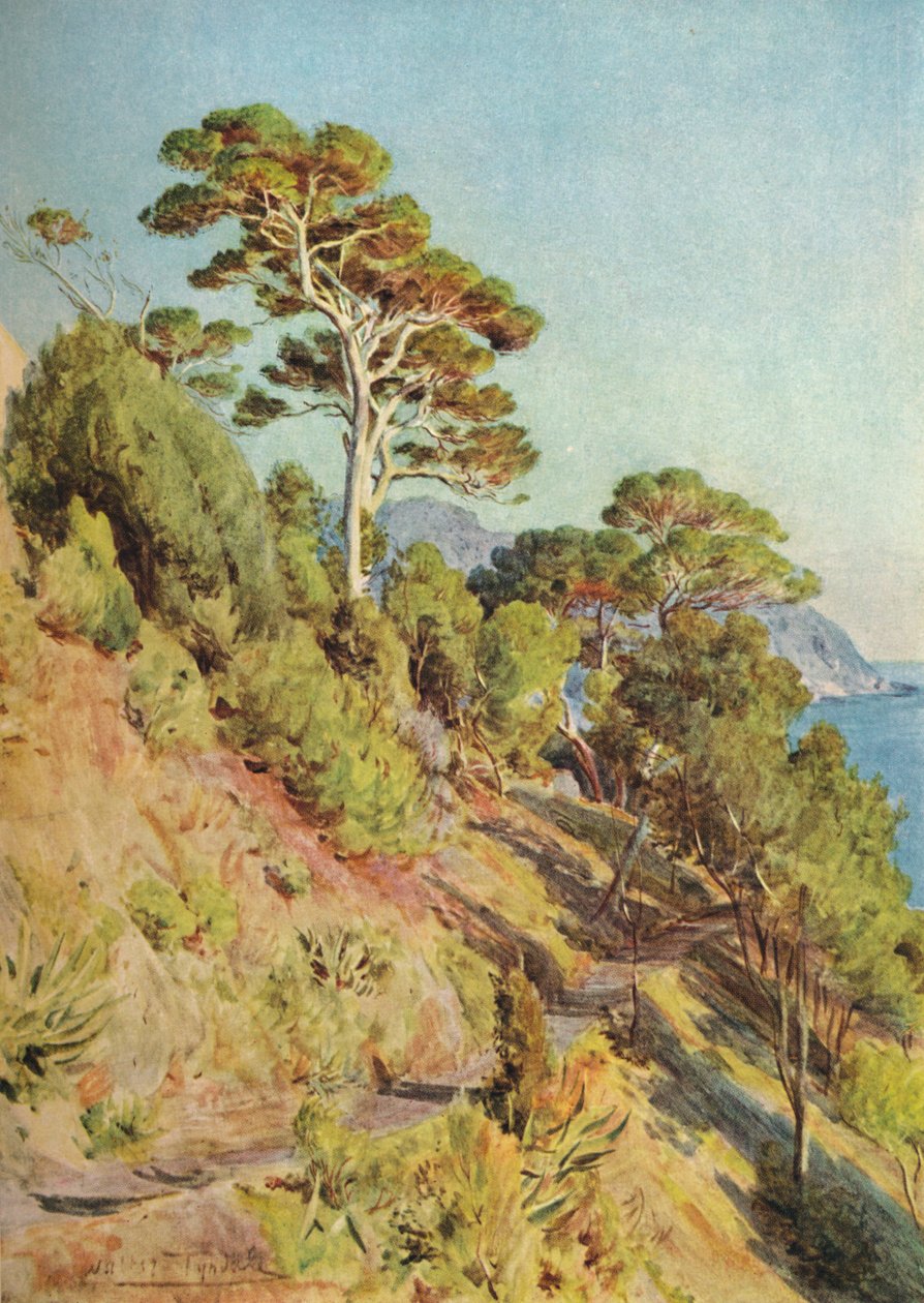 في فيلا بيوما ، سيستري ليفانتي ، c1910 ، 1912 بواسطة والتر فريدريك روف تندل