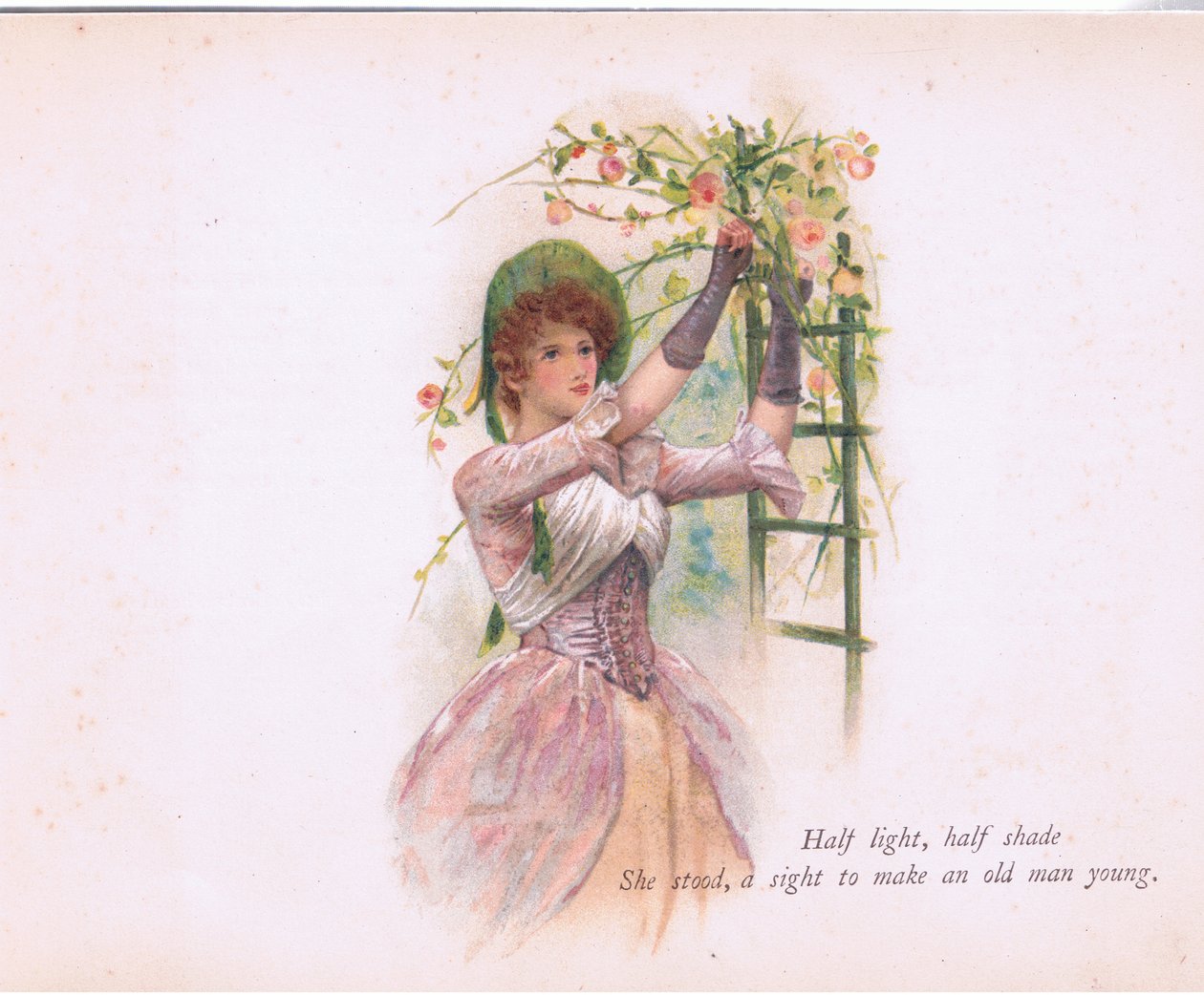 نصف ضوء ، نصف ظل ، رسم توضيحي من Tennyson Pictures نشره E P Dutton & Co ، حوالي 1900 (لون ليثو) بواسطة والتر باجيت