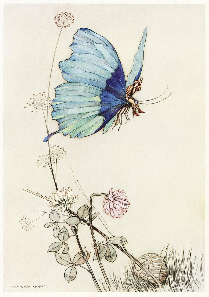 أخذ الفراشة الجناح ، وركب في الهواء مع توم الصغير على ظهره ، من The Fairy Book ، حانة. 1913 بواسطة وارويك جوبل