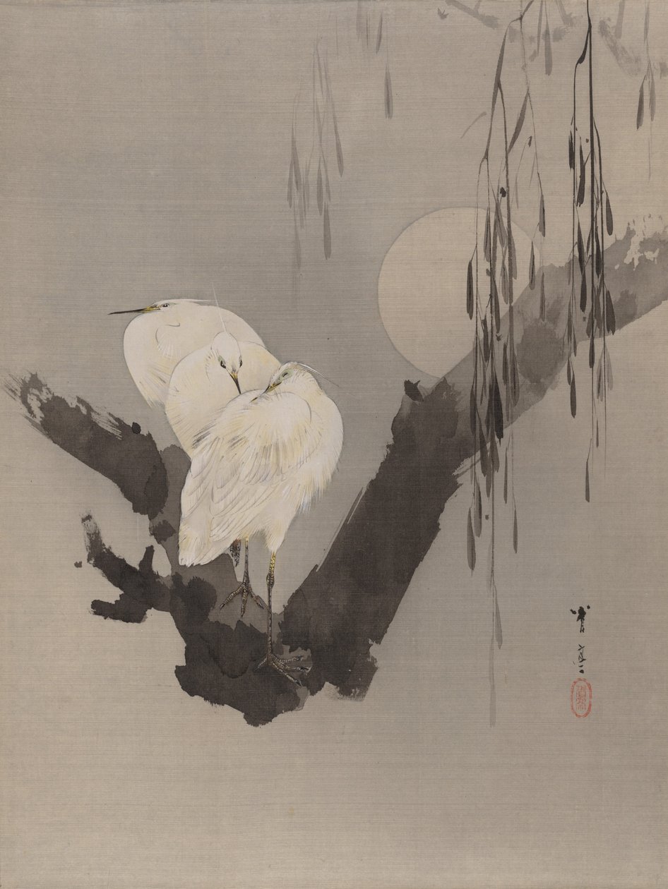 Egrets في شجرة في الليل ، كاليفورنيا. 1887. بواسطة واتانابي باجي