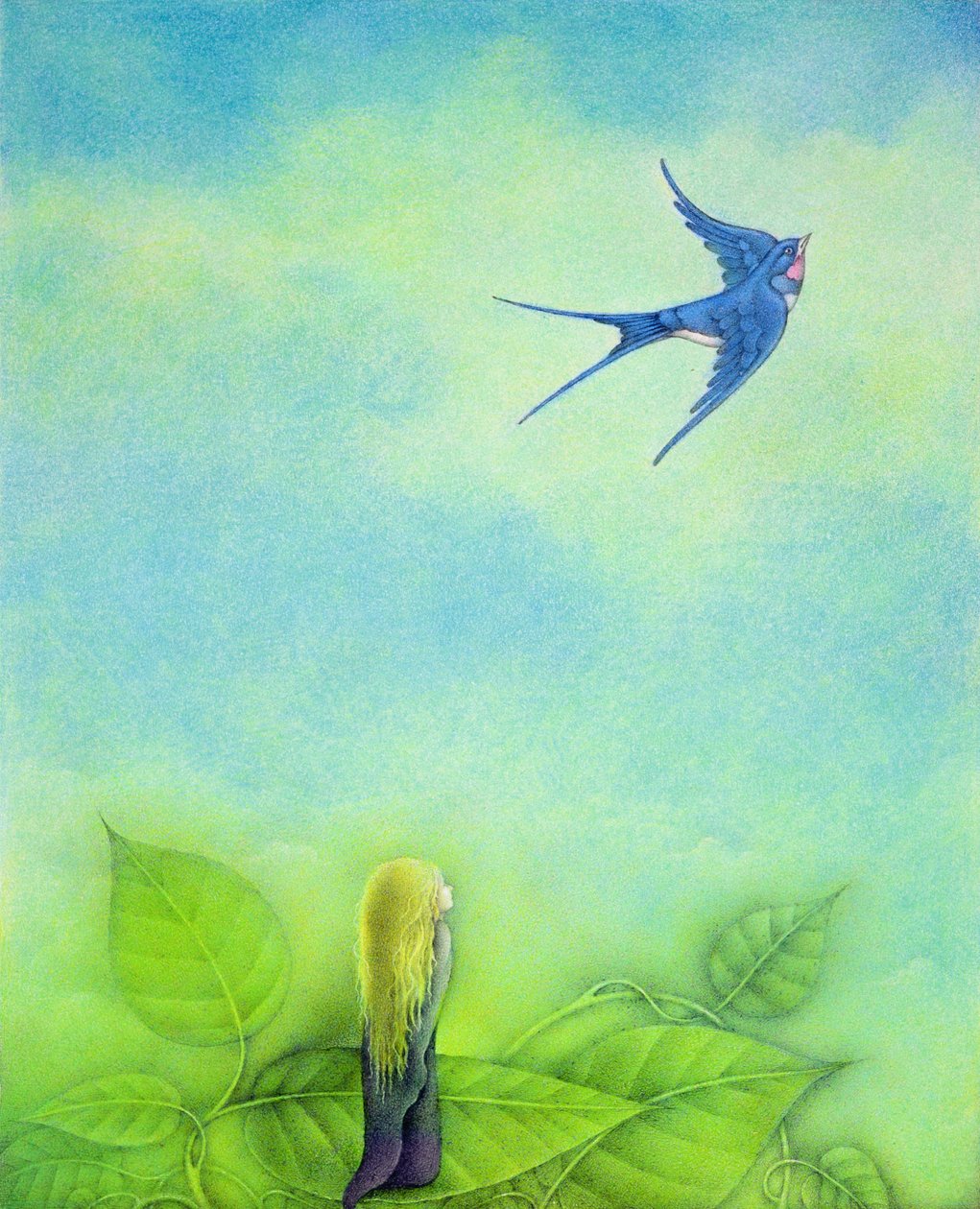  بواسطة واين أندرسون