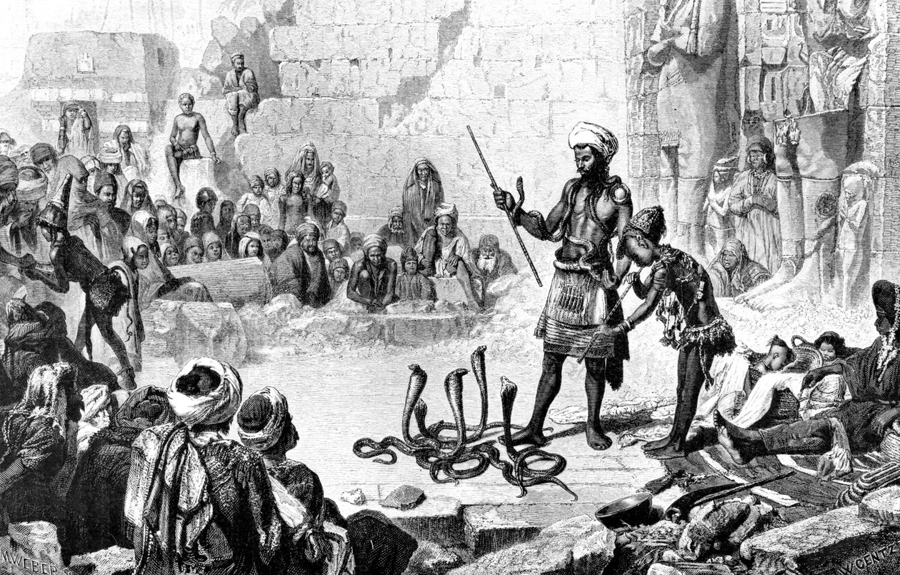 "ثعبان ساحر في الغرفة الثانية بمدينت حبو" ، ١٨٨١ بواسطة ويبر م