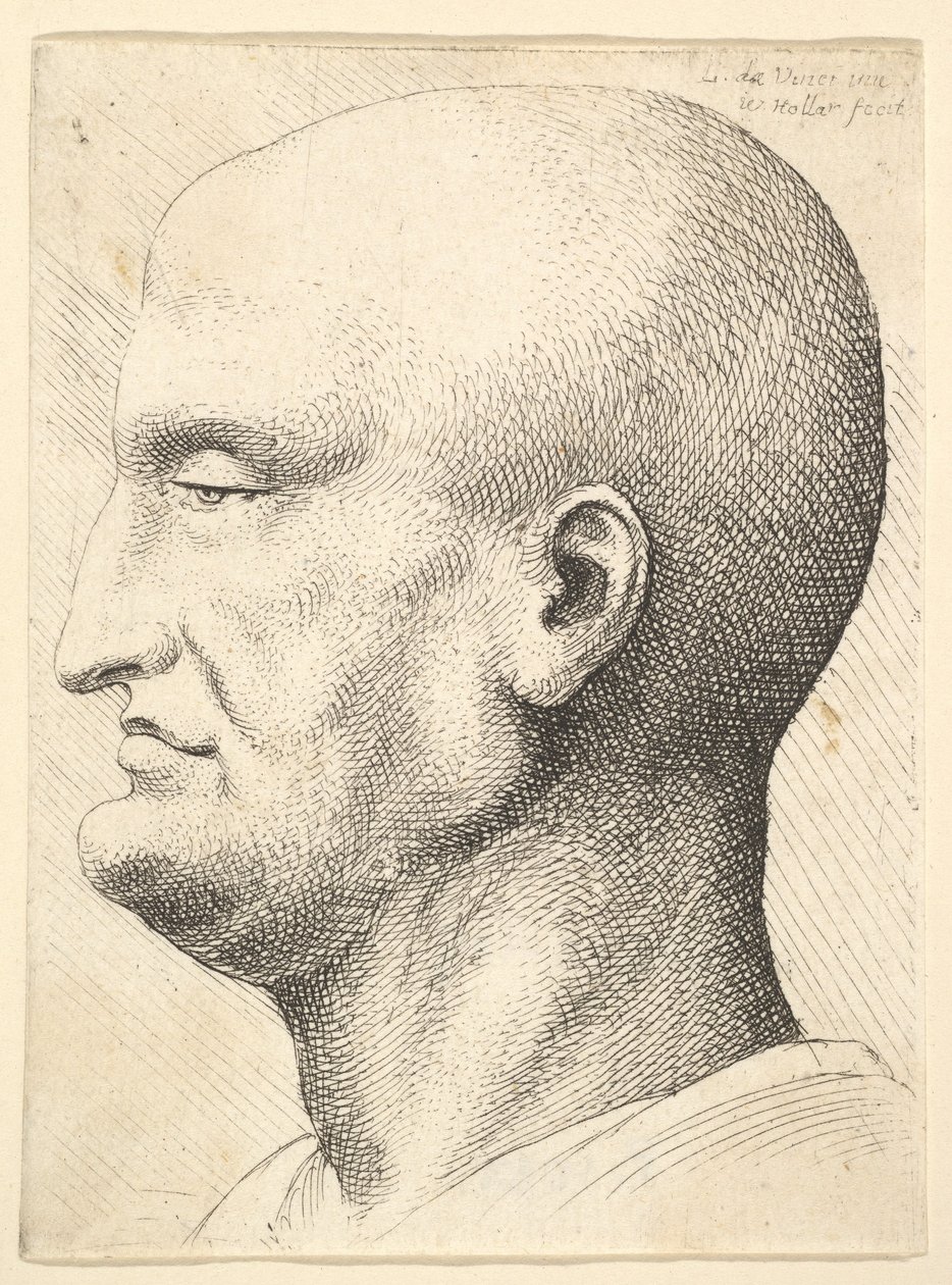 رأس رجل أصلع في صورة جانبية إلى اليسار ، 1644-52. بواسطة وينسلوس هولار