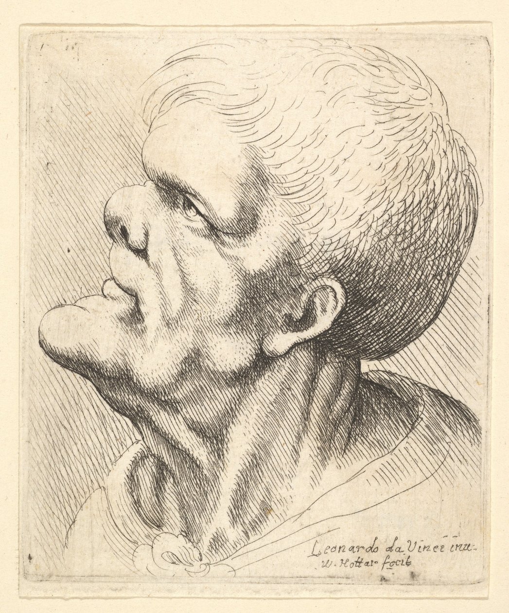 رأس رجل بارز وذقن بارز وأنف مزعج ينظر لأعلى في شكل جانبي إلى اليسار ، 1625-77. بواسطة وينسلوس هولار
