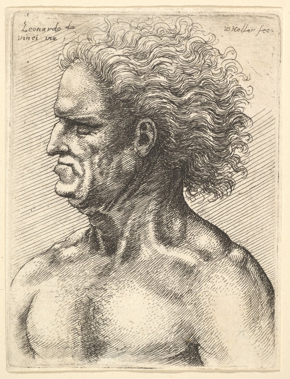 رأس رجل عجوز عضلي في شكل جانبي إلى اليسار بشعر متدفق ، 1625-77. بواسطة وينسلوس هولار
