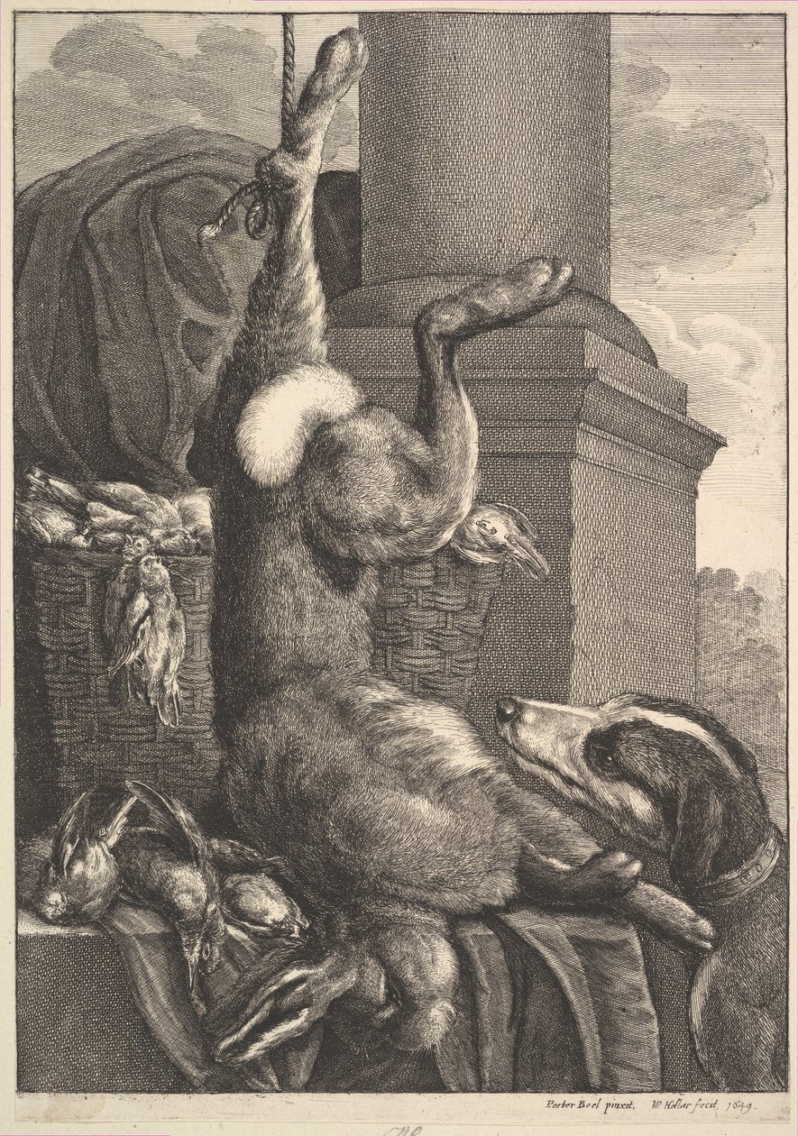 The Dead Hare ، 1649. بواسطة وينسلوس هولار