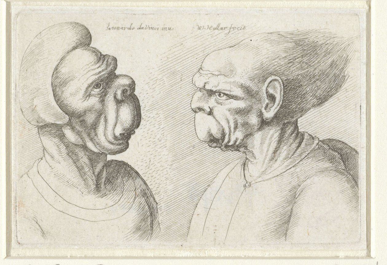 رأسان مشوهان VarieFigurae et probae (عنوان السلسلة) رسوم كاريكاتورية ورؤوس وتشوهات بعد ليوناردو دا فينشي (عنوان السلسلة) بواسطة وينسلوس هولار