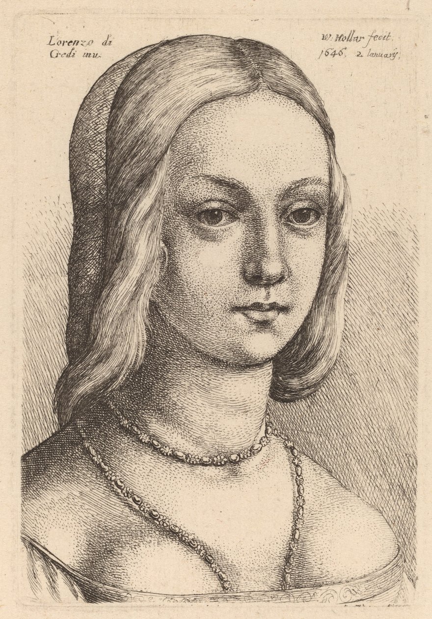 رأس امرأة تبحث الحق بواسطة Wenceslaus Hollar بعد Lorenzo di Credi
