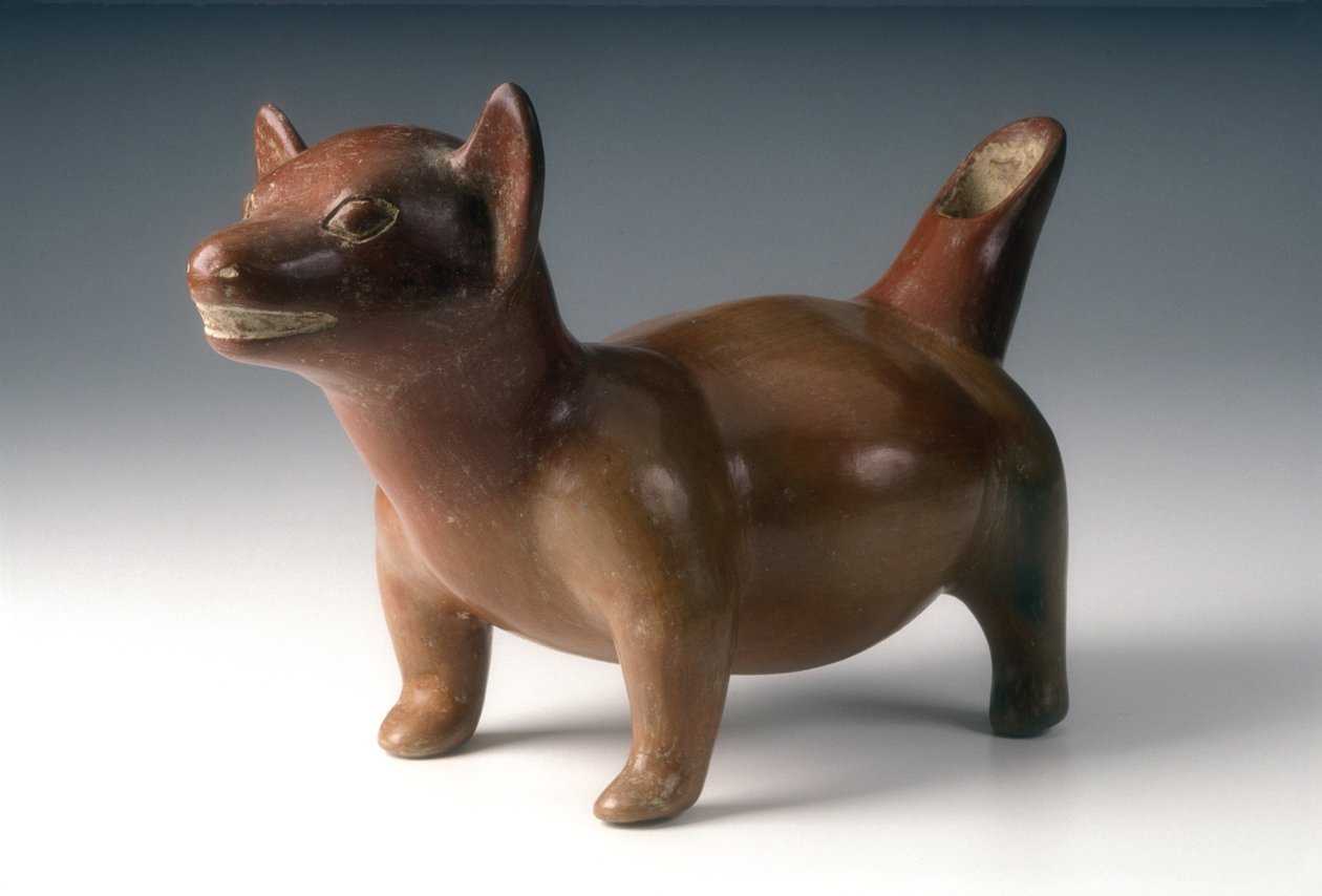 إناء للكلاب ، c.200 BCE-300 CE (سيراميك) بواسطة غرب المكسيك