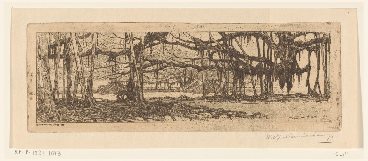 أشجار Waringin في حديقة في Buitenzorg في الحديقة في Buitenzorg (العنوان الأصلي) بواسطة Wijnand Otto Jan Nieuwenkamp (توقيع الفنان)