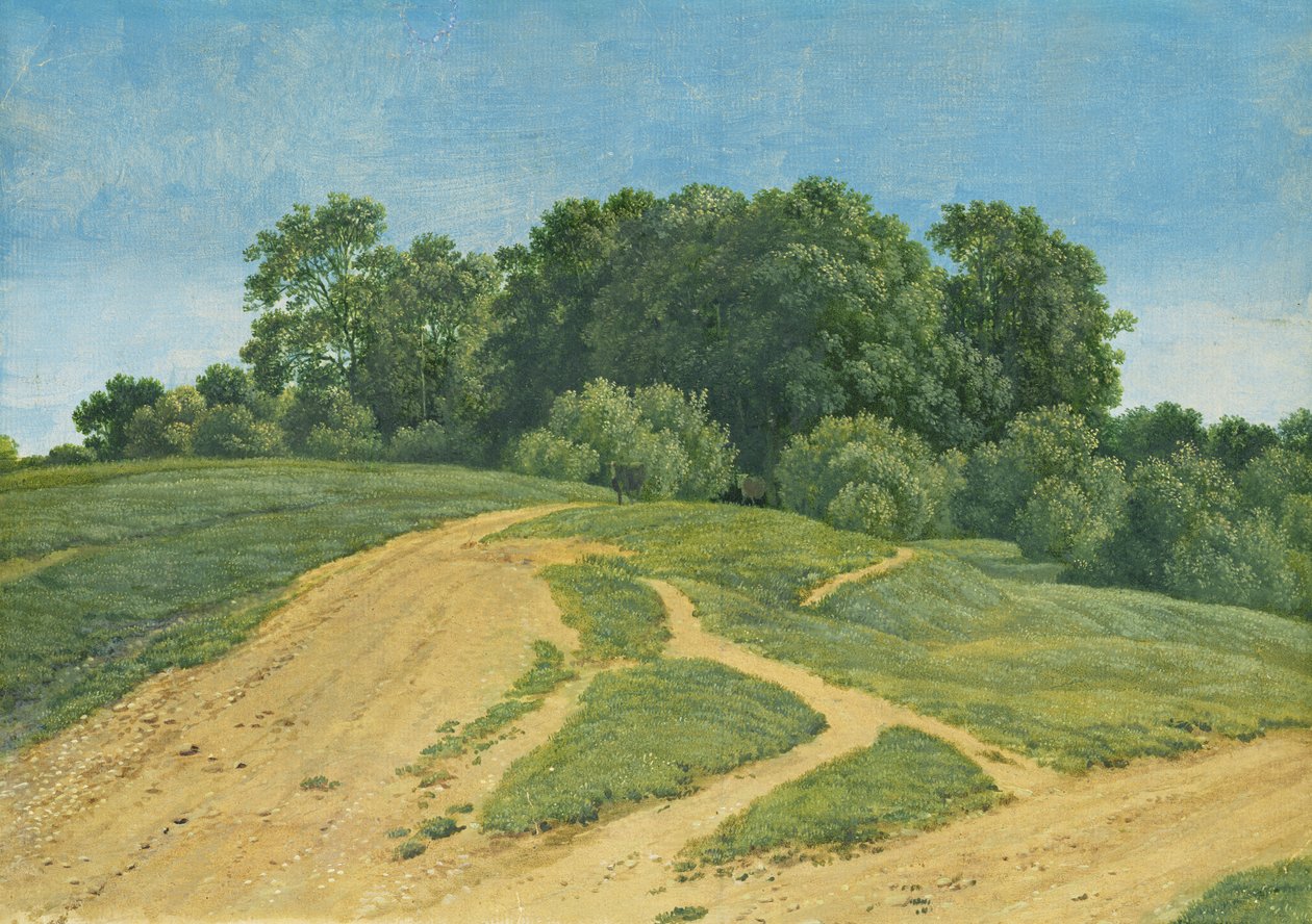 مسار عبر الحقول ، c.1821 بواسطة فيلهلم ألكسندر كوبيل