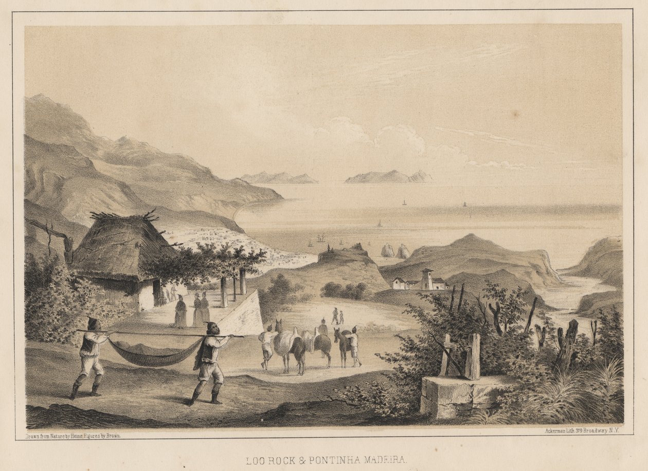 لو روك أوند بونتها ماديرا ، 1855 بواسطة فيلهلم جوزيف هاينه