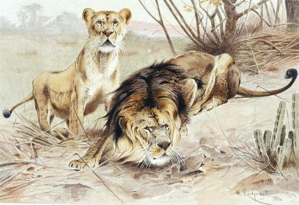 أسد ، لوحة من "Brehm's Animal Life: General Knowledge Kingdom of Animal Kingdom" ، المجلد 1 ، ص 453 ، نشره المعهد الببليوغرافي بواسطة فيلهلم كونرت