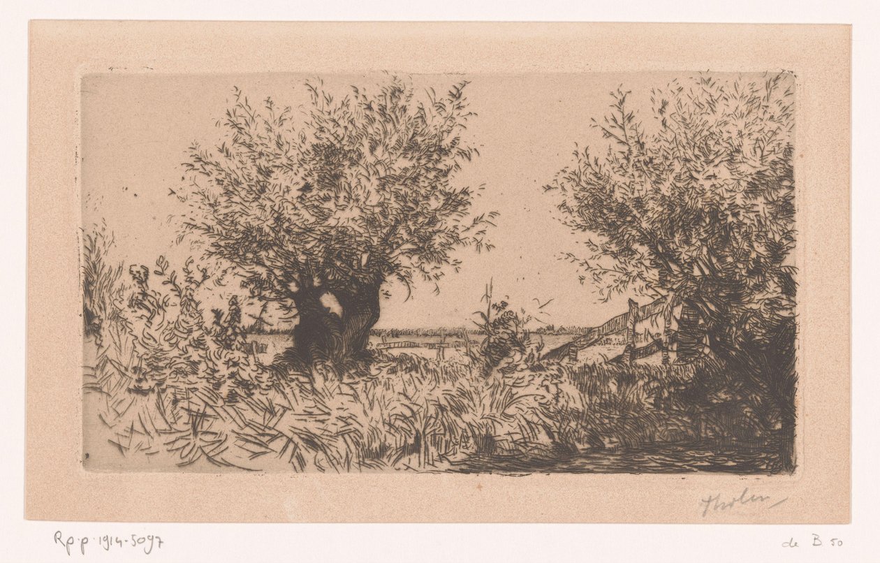 المناظر الطبيعية مع المرج ، والصفصاف بولارد والسياج الصفصاف (كاغ) (العنوان الأصلي) بواسطة فيليم باستيان ثولين (توقيع الفنان)