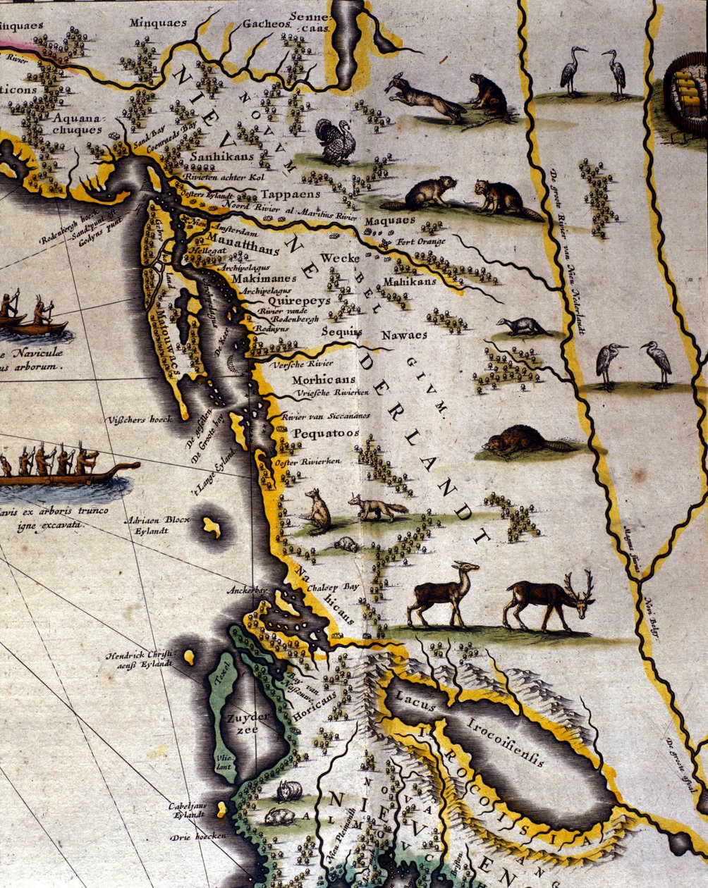 خريطة جغرافية للأطلس الهولندي من القرن السابع عشر رسمها فيلهلم بلاو (1571-1638) تُظهر شعوب حيوانات الفراء في الأراضي الأمريكية والكندية. يقع الشمال في الأسفل حسب تقاليد العصور الوسطى. بواسطة ويليم بلاو