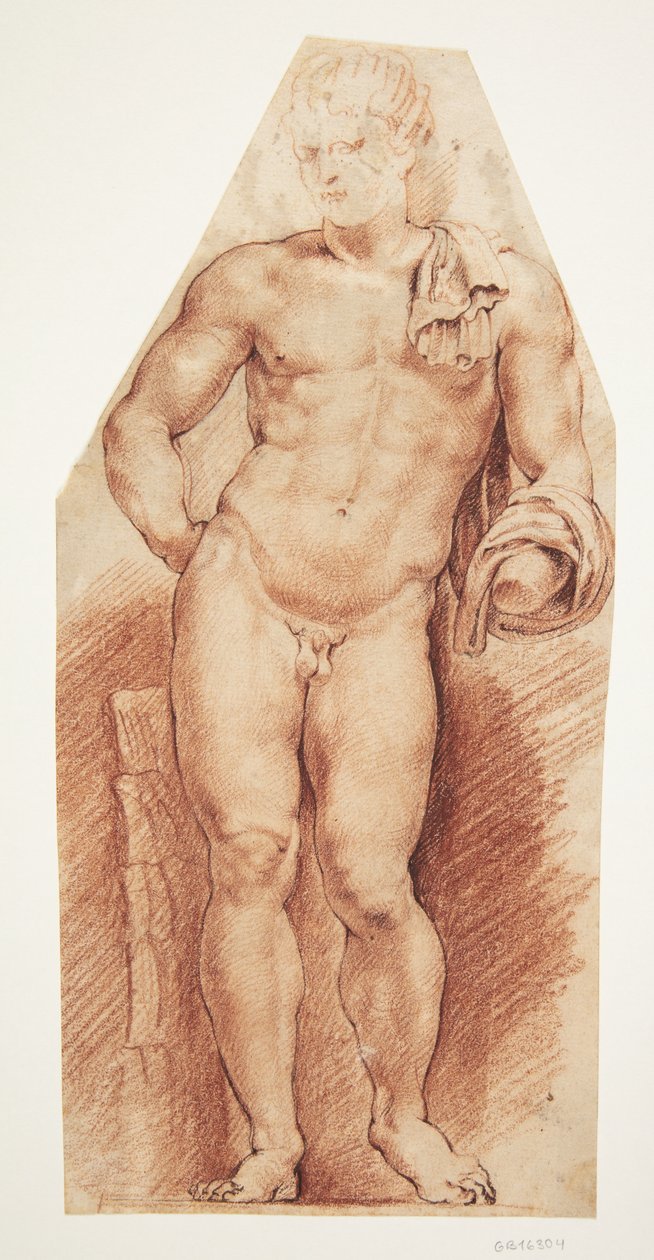 التمثال الأثري "Belvedere Antinous" ، منظر أمامي بواسطة ويليم بانيلز
