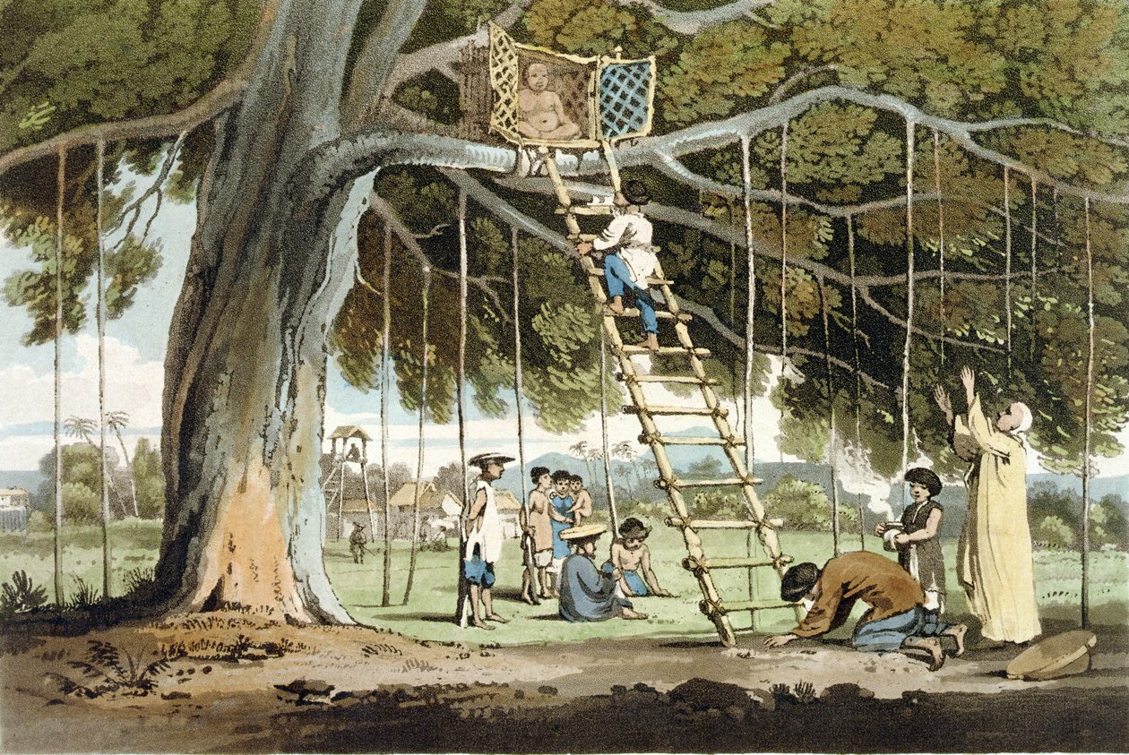 تقديم أول ثمار إلى الإله Fo ، اللوحة 16 من "رحلة إلى كوتشينشينا" لجون بارو (1764-1848) منقوش بواسطة توماس ميدلاند (1755-1823) 1806 (أكواتينت) بواسطة وليام الكسندر