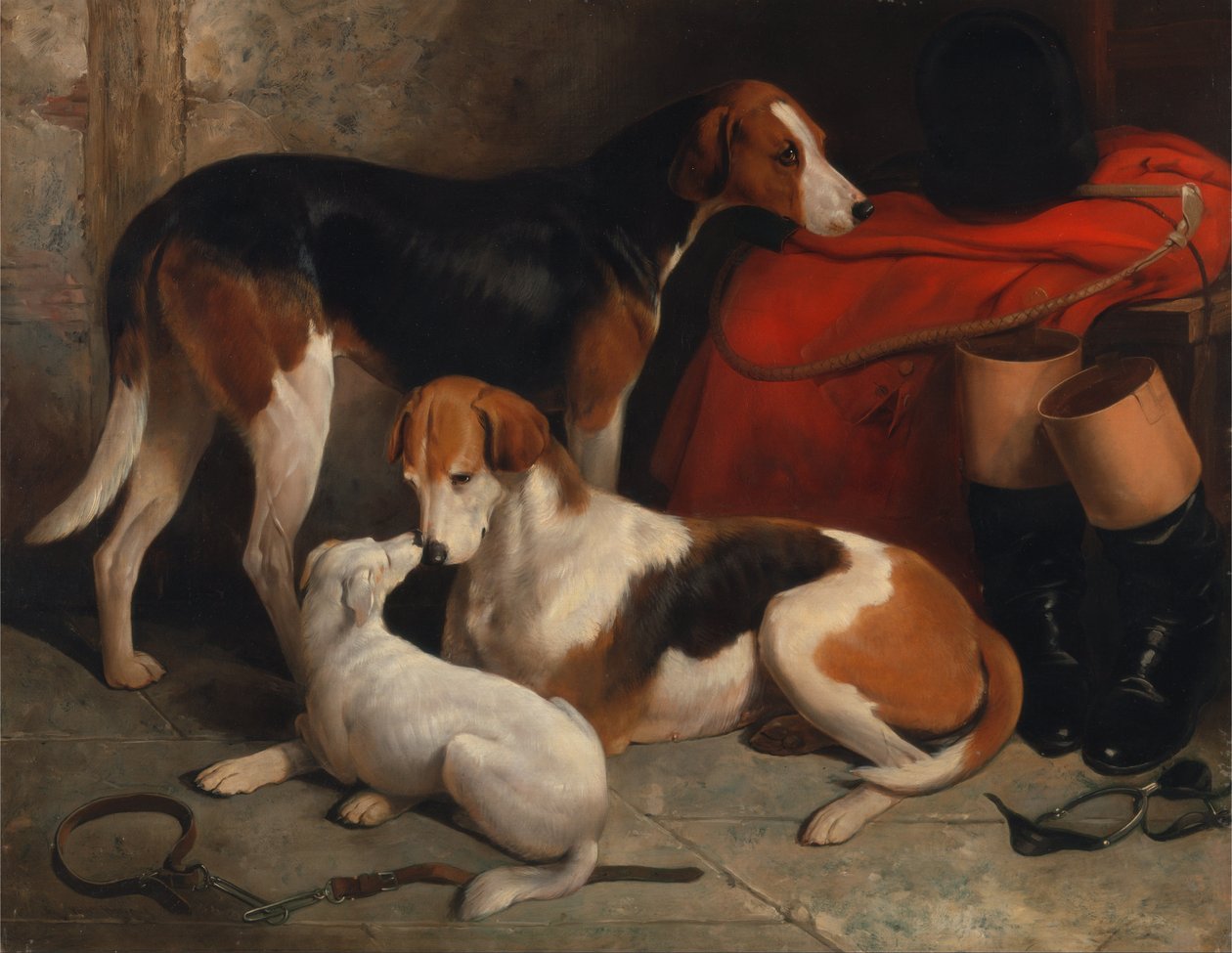 زوجان من Foxhounds مع جحر ، ملك اللورد هنري بينتينك بواسطة وليام بارود