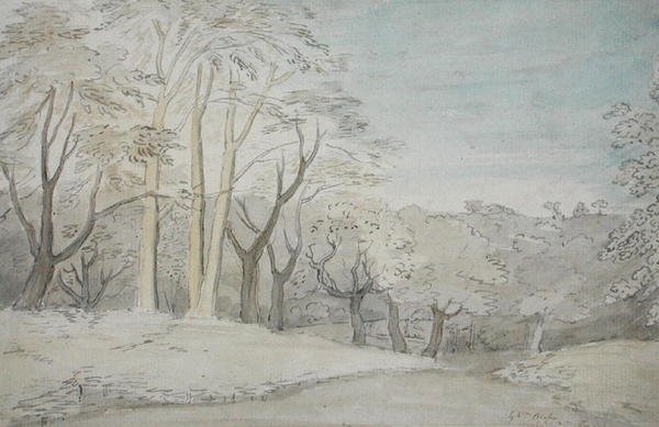 منظر خشبي ، c.1801 (مرحاض وجرافيت على ورق) بواسطة وليام بليك