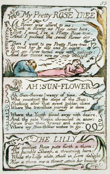 My Pretty Rose Tree ، اللوحة 53 (Bentley 43) من The Songs of Innocence and of Experience (Bentley copy L) 1789-94 (النقش البارز بالقلم والحمام على الورق) بواسطة وليام بليك