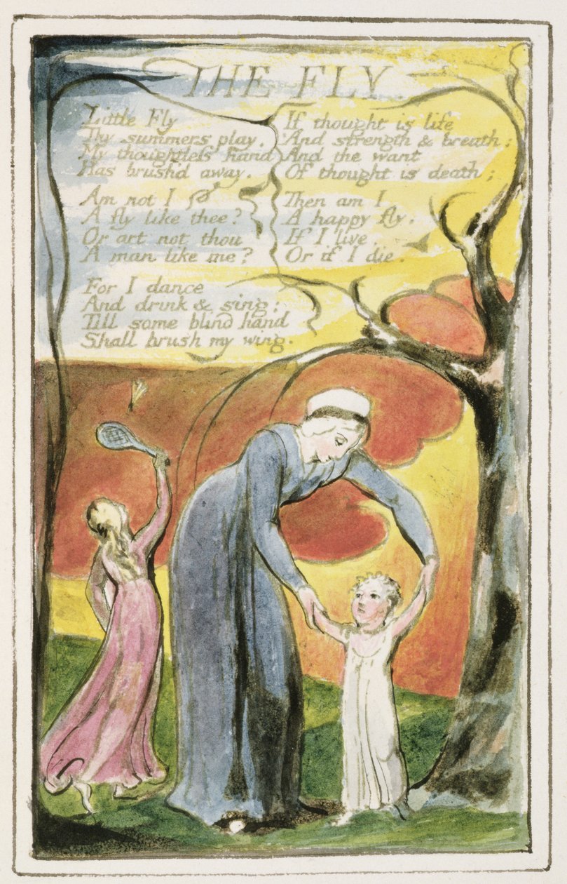 P.124-1950.pt41 الذبابة: اللوحة 41 من "أغاني البراءة والتجربة" (نسخة R) c.1802-08 (النقش والحبر والمرحاض) بواسطة وليام بليك