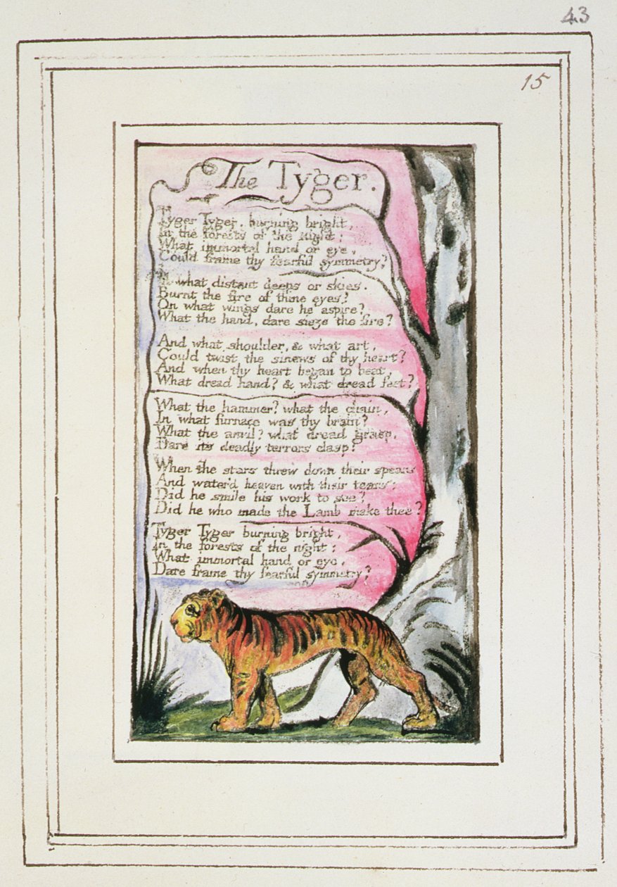 P.124-1950.pt43 The Tyger: اللوحة 43 من "أغاني البراءة والخبرة" (نسخة R) c.1802-08 (النقش والحبر والمرحاض) بواسطة وليام بليك