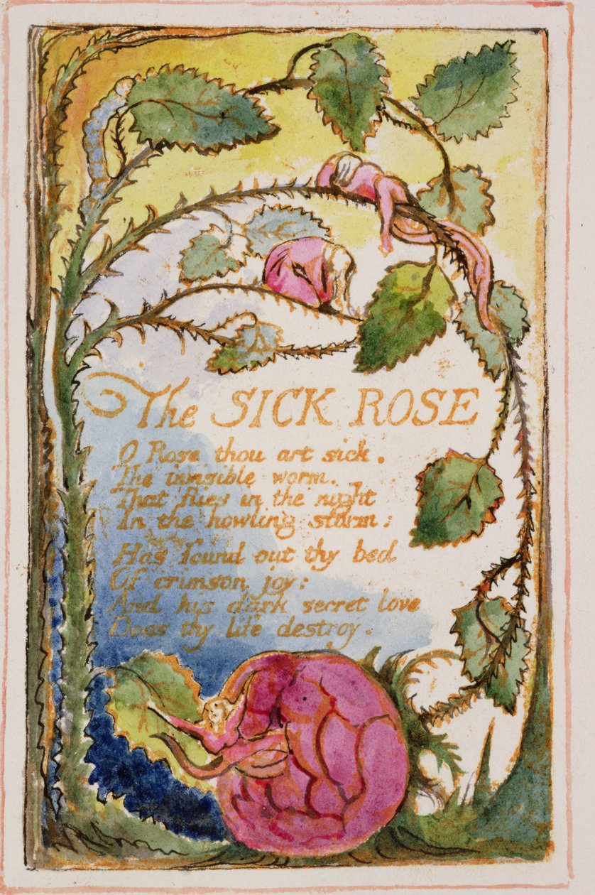 P.125-19503.pt39 The Sick Rose: اللوحة 39 من أغاني البراءة والخبرة (نسخة AA) c.1815-26 (النقش والحبر والمرحاض) بواسطة وليام بليك