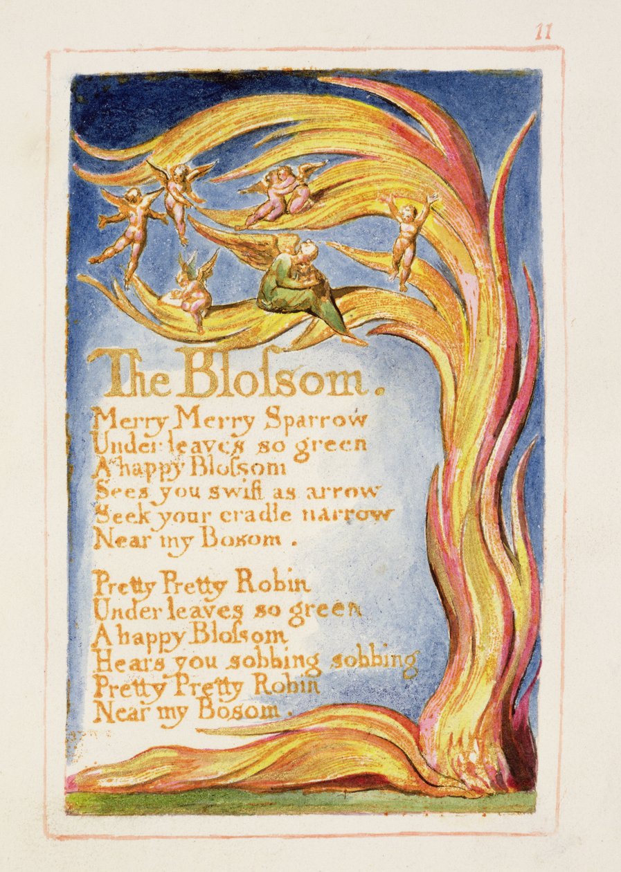 P.125-1950.pt11 The Blossom: اللوحة 11 من "أغاني البراءة والخبرة" (نسخة AA) c.1815-26 (النقش والحبر والمرحاض) بواسطة وليام بليك