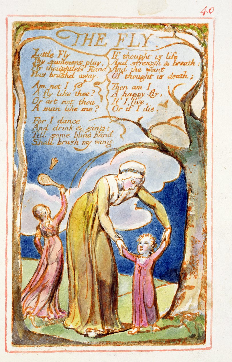 P.125-1950.pt40 الذبابة: اللوحة 40 من أغاني البراءة والخبرة (نسخة AA) c.1815-26 (النقش والحبر والمرحاض) بواسطة وليام بليك